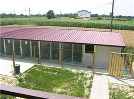 GS-06
